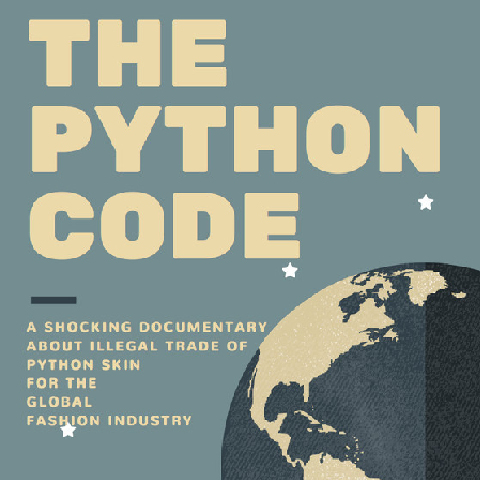 THE PYTHON CODE